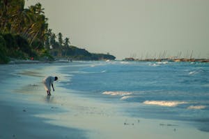 cover image for Zanzibar